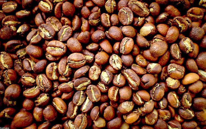 Biji kopi segar